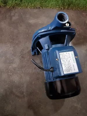 Surface Water Pump