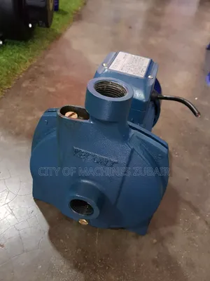 Surface Water Pump