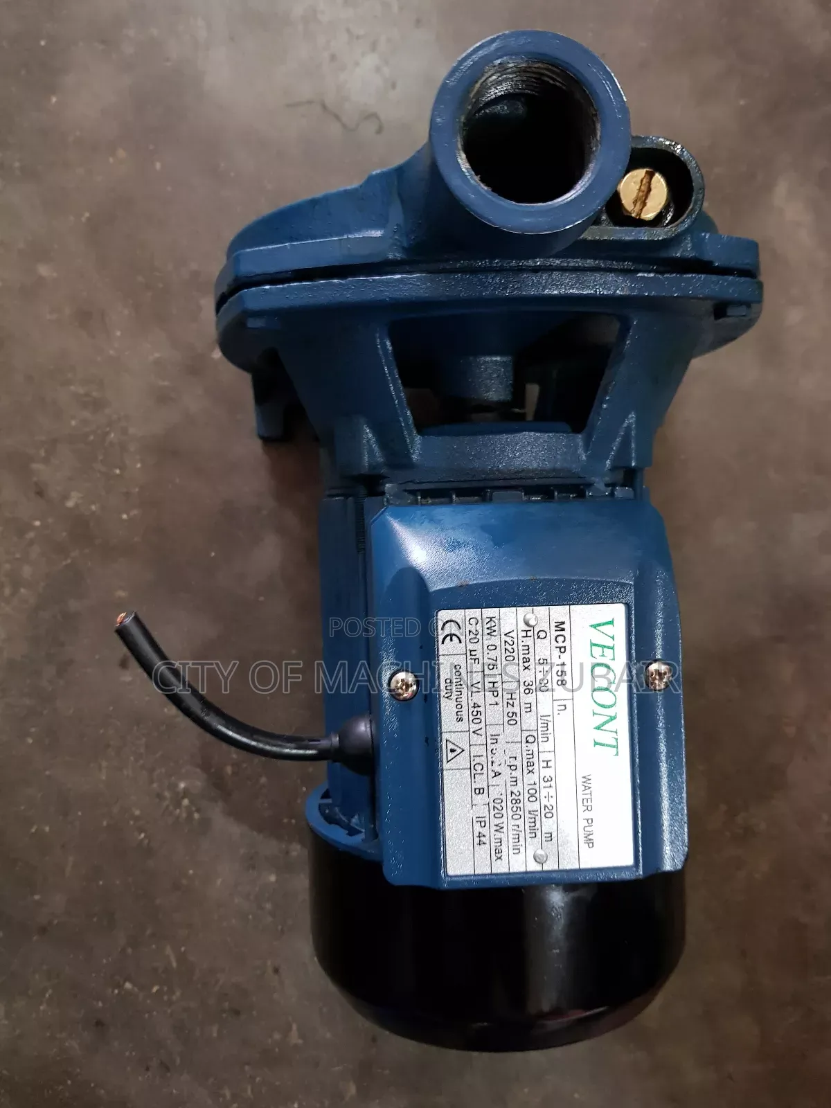 Surface Water Pump