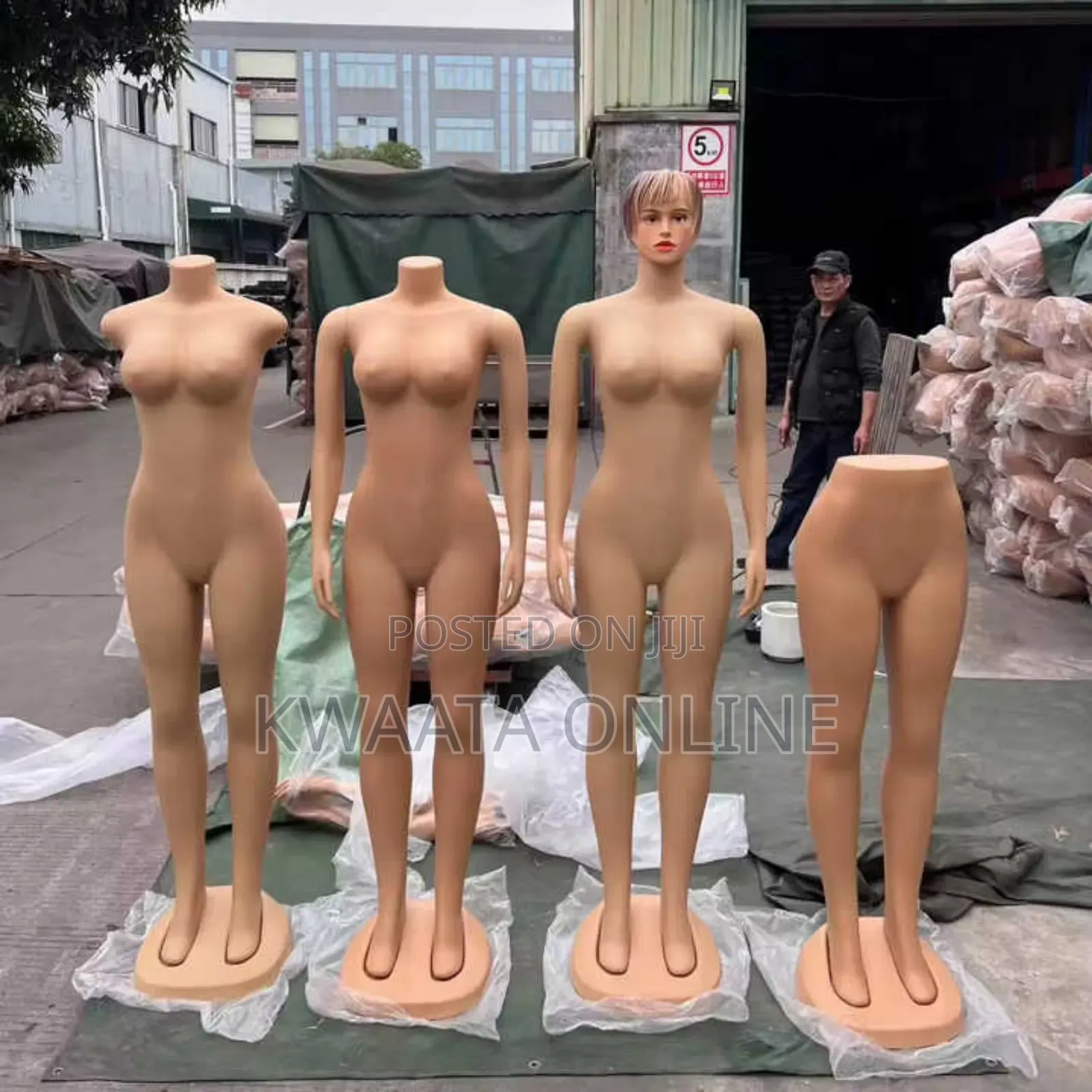 Woman Manikin Dress Form, Realistic Mannequins Model Dummy With Head