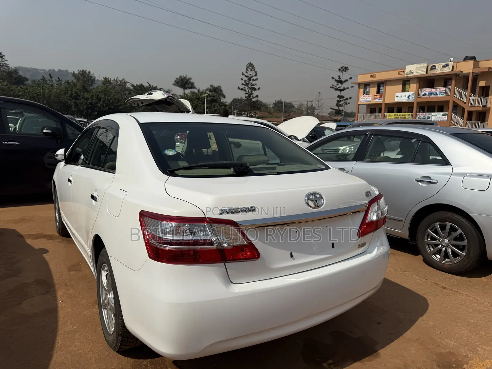 Toyota Premio 2013 White