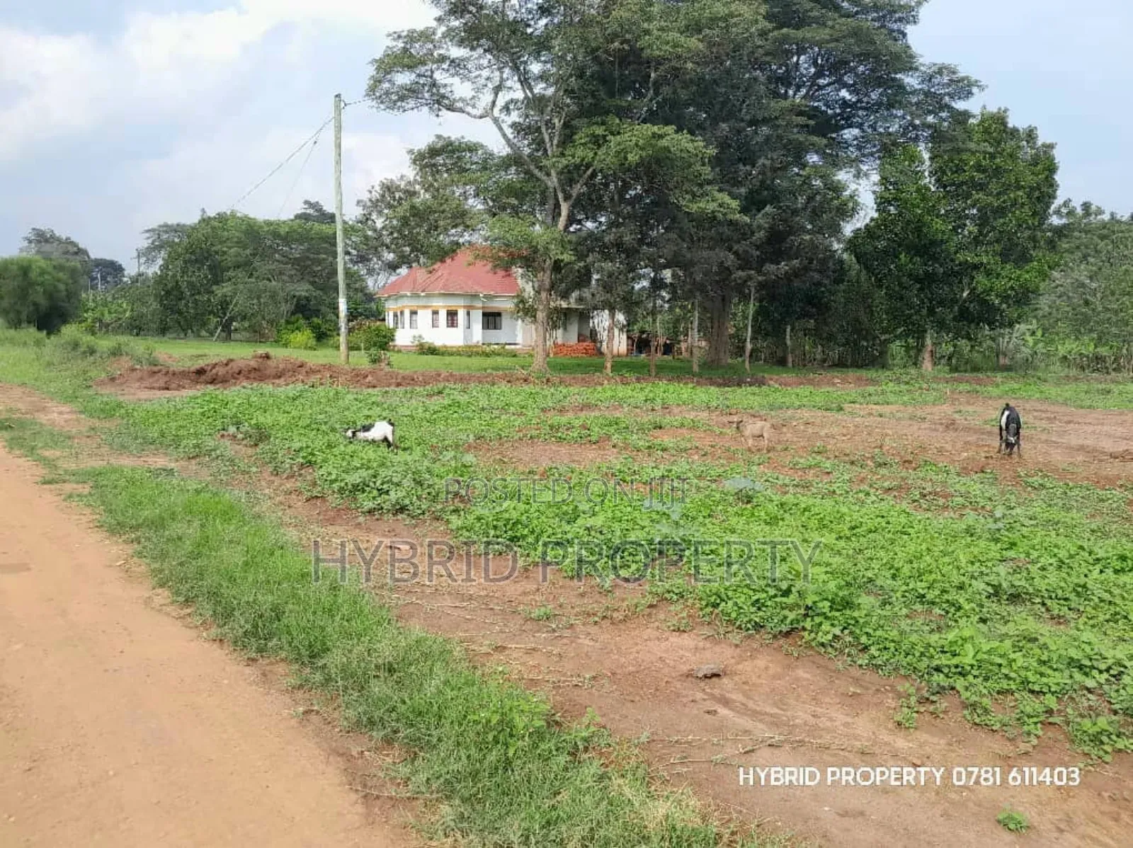 Prime Plots for Sale at Matugga~Semuto Estate Along Matugga~Semuto Rd.