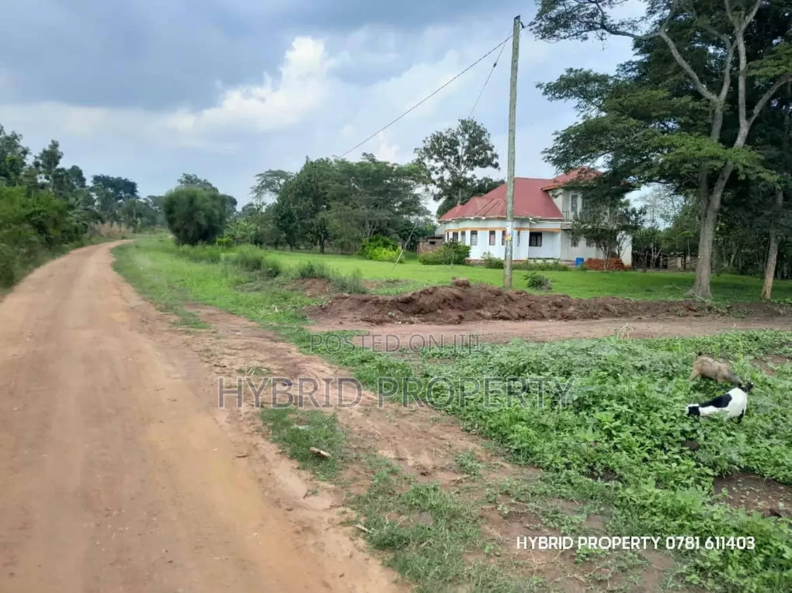 Prime Plots for Sale at Matugga~Semuto Estate Along Matugga~Semuto Rd.
