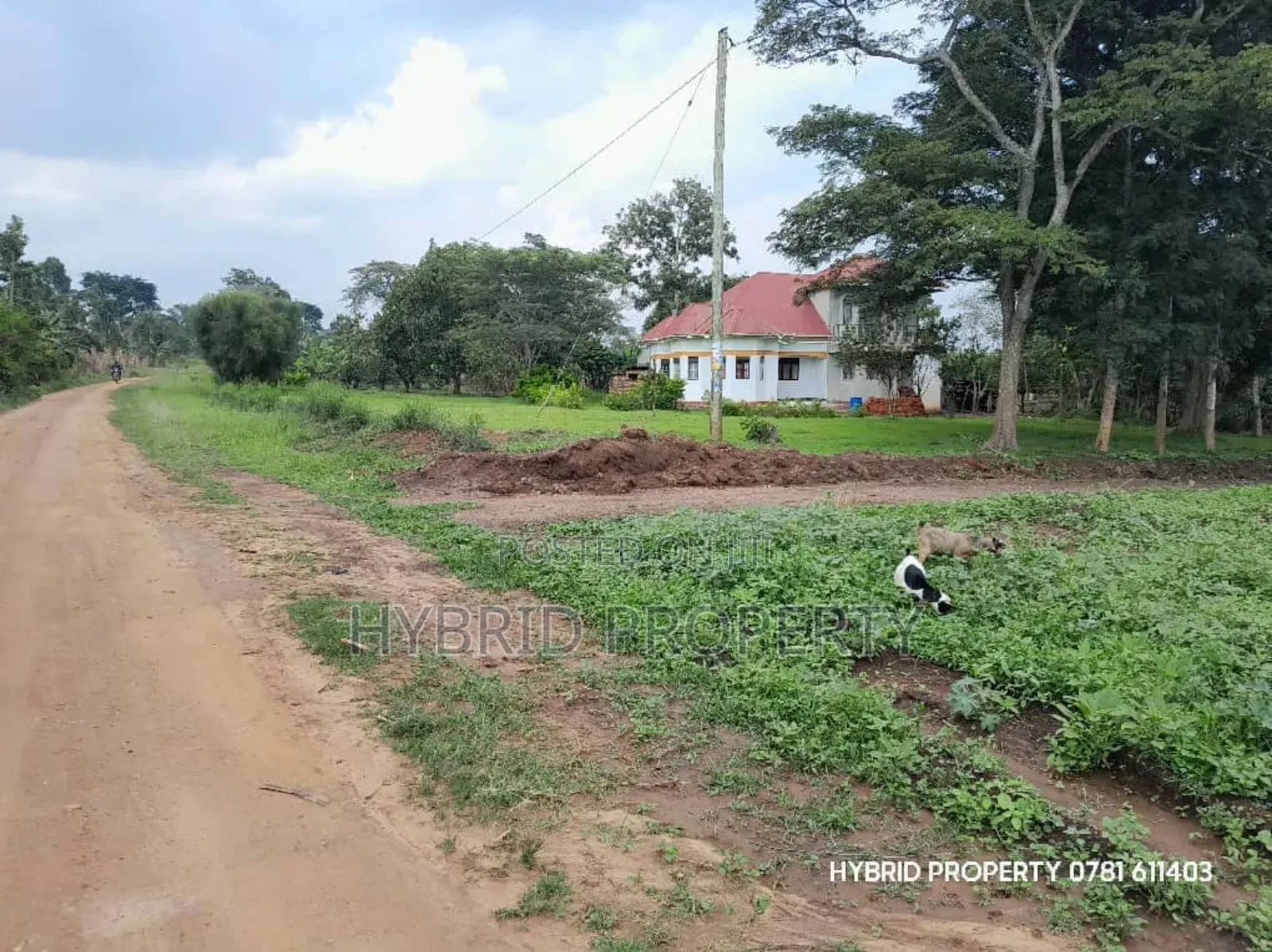 Prime Plots for Sale at Matugga~Semuto Estate Along Matugga~Semuto Rd.