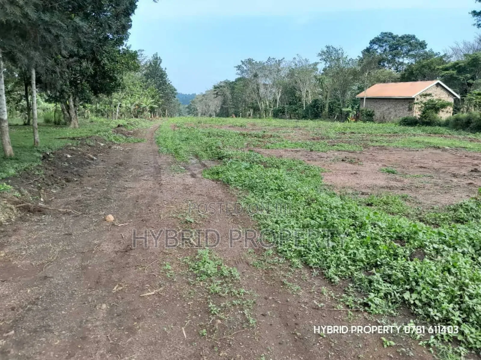 Prime Plots for Sale at Matugga~Semuto Estate Along Matugga~Semuto Rd.
