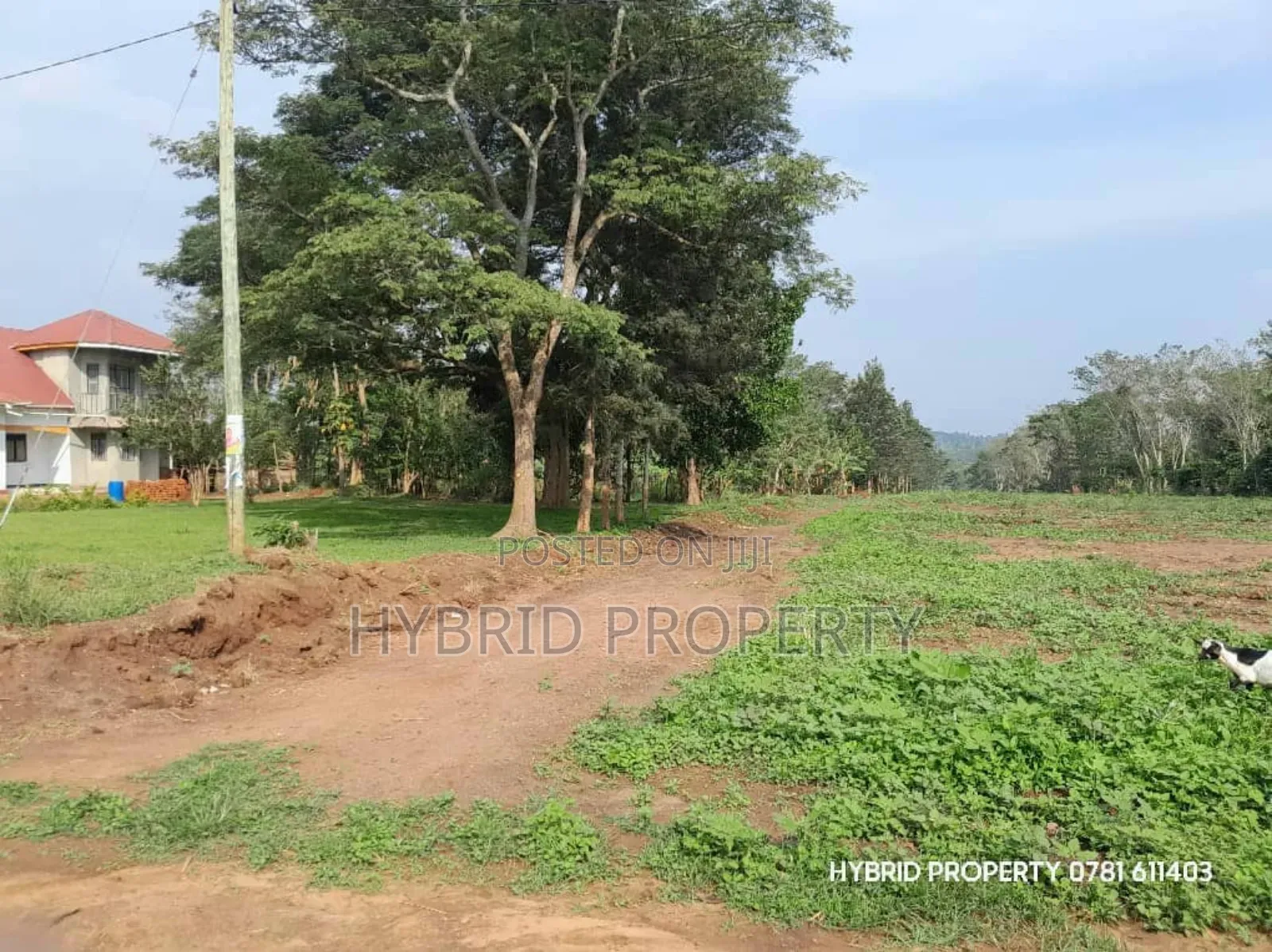 Prime Plots for Sale at Matugga~Semuto Estate Along Matugga~Semuto Rd.