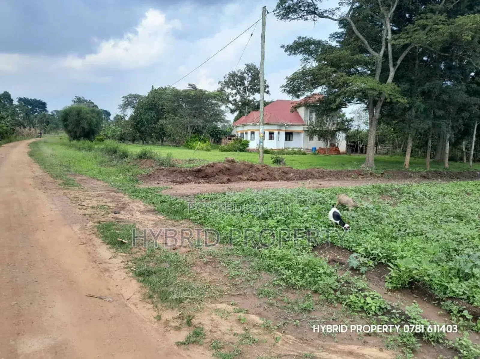 Prime Plots for Sale at Matugga~Semuto Estate Along Matugga~Semuto Rd.