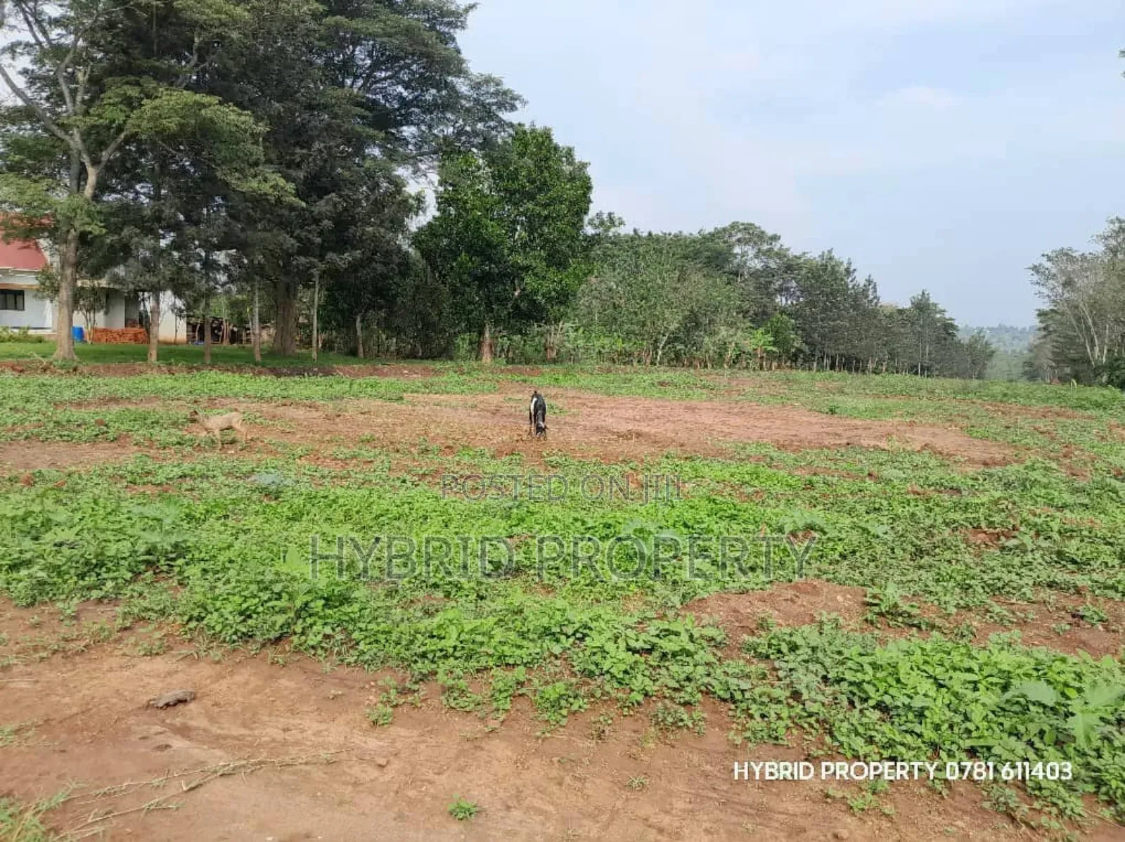 Prime Plots for Sale at Matugga~Semuto Estate Along Matugga~Semuto Rd.