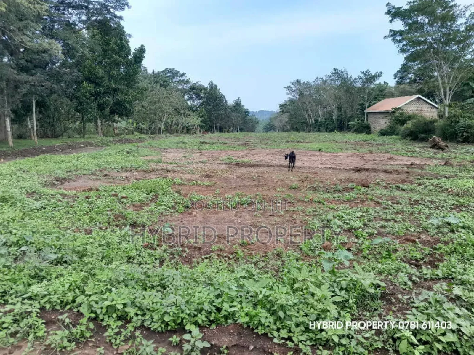 Prime Plots for Sale at Matugga~Semuto Estate Along Matugga~Semuto Rd.