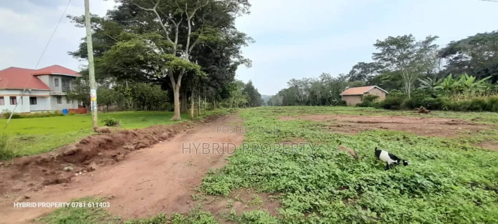Prime Plots for Sale at Matugga~Semuto Estate Along Matugga~Semuto Rd.