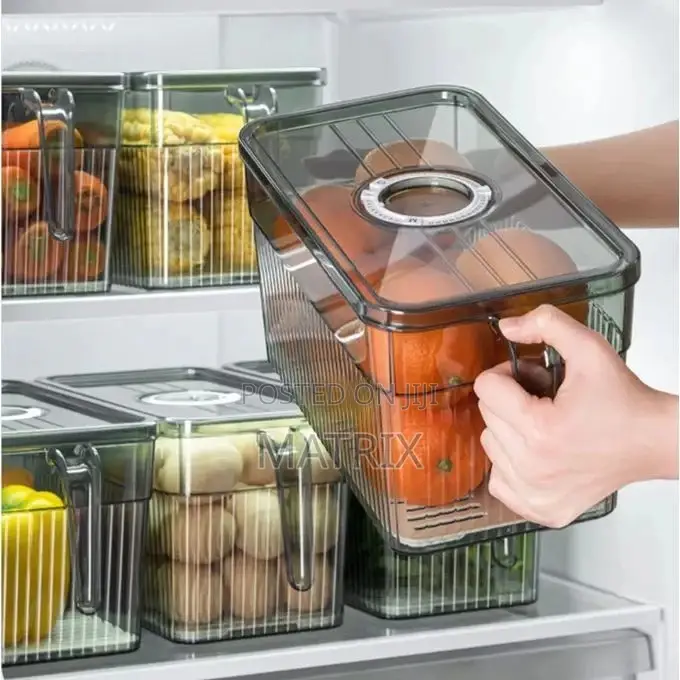 Food Storage Container Organizer Holder With Lid and Handle (1pc)
