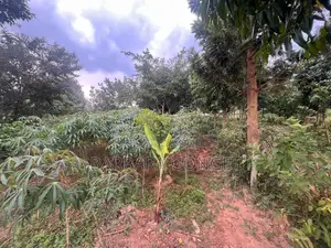 Full Acre With Lake View, Lutaaba Behind Akright on Entebbe Road
