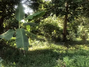Full Acre With Lake View, Lutaaba Behind Akright on Entebbe Road