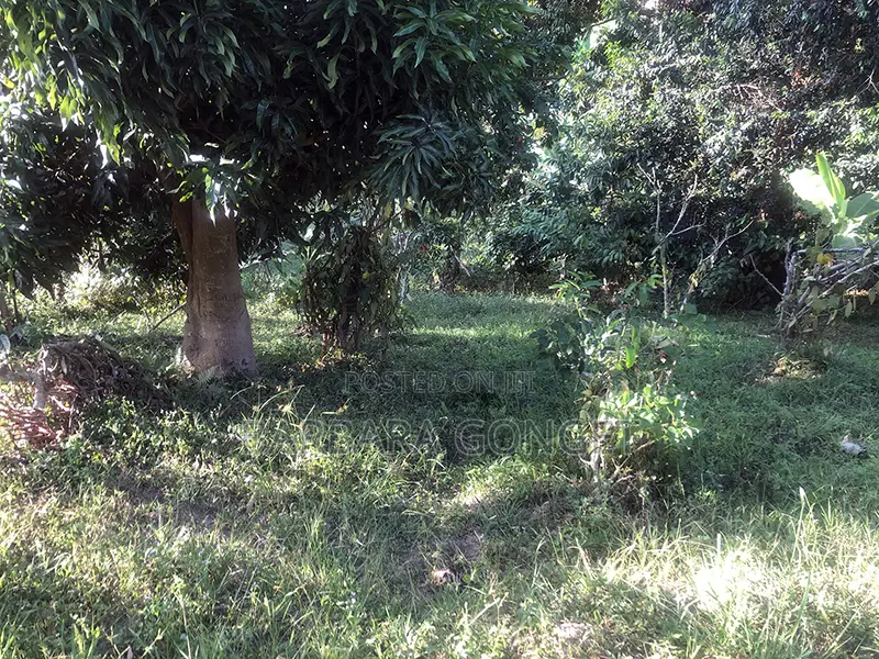Full Acre With Lake View, Lutaaba Behind Akright on Entebbe Road