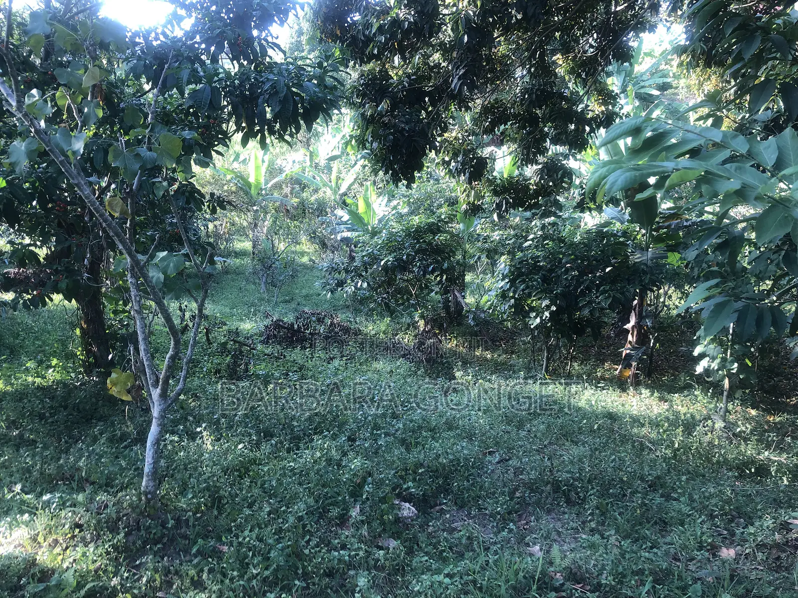 Full Acre With Lake View, Lutaaba Behind Akright on Entebbe Road