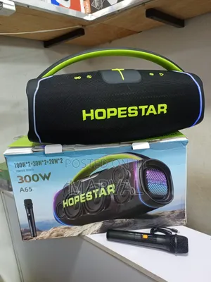Hopestar A65 300w Portable Speaker.