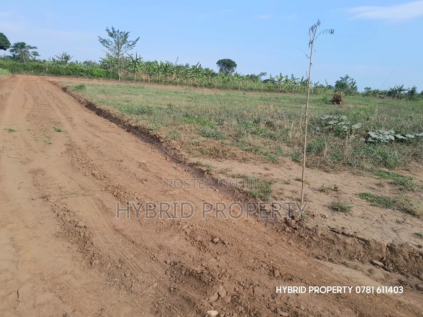 Prime Plots for Sale at Kakiri~Nampunge Divine Estate Along Hoima Road