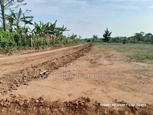 Prime Plots for Sale at Kakiri~Nampunge Divine Estate Along Hoima Road