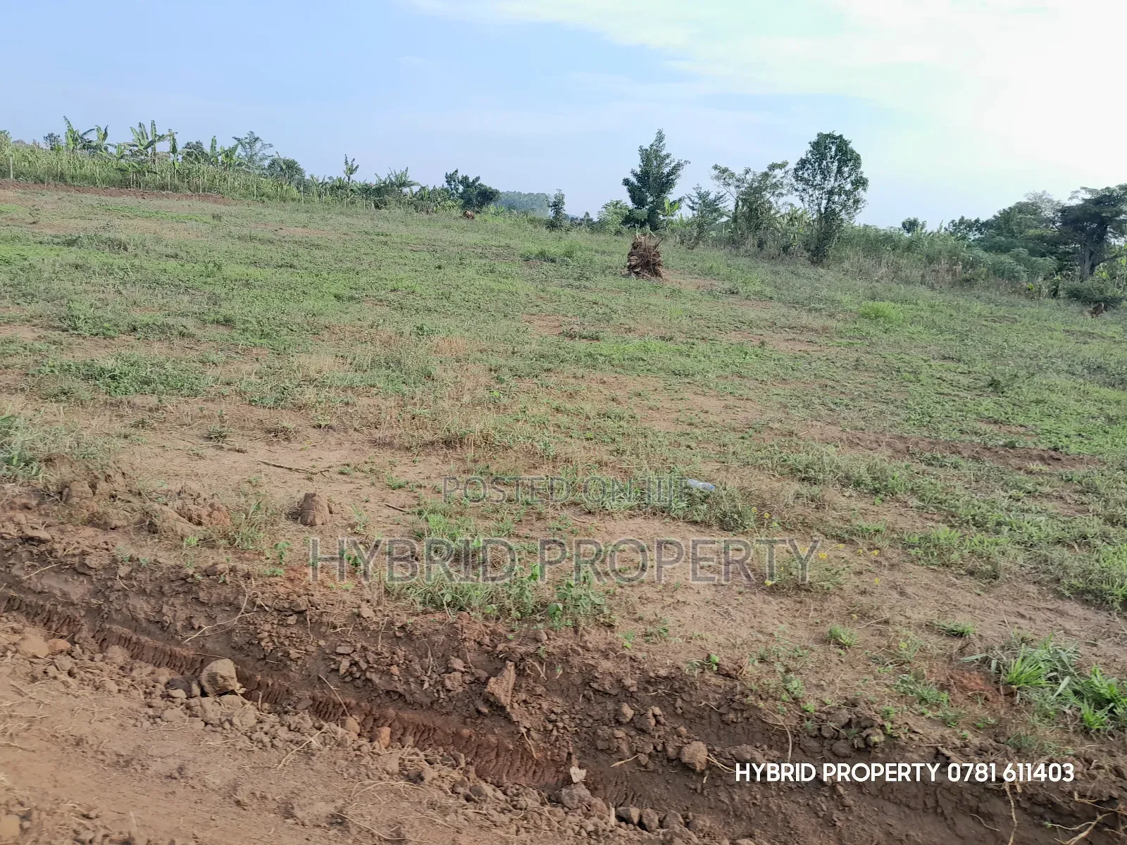 Prime Plots for Sale at Kakiri~Nampunge Divine Estate Along Hoima Road