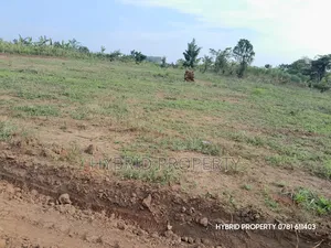 Prime Plots for Sale at Kakiri~Nampunge Divine Estate Along Hoima Road