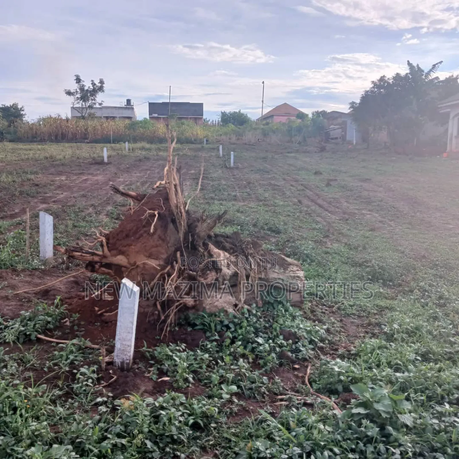 Very Classic Titled Plot on Quicksale in Heart of Bulenga Heights