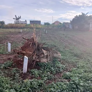 Very Classic Titled Plot on Quicksale in Heart of Bulenga Heights