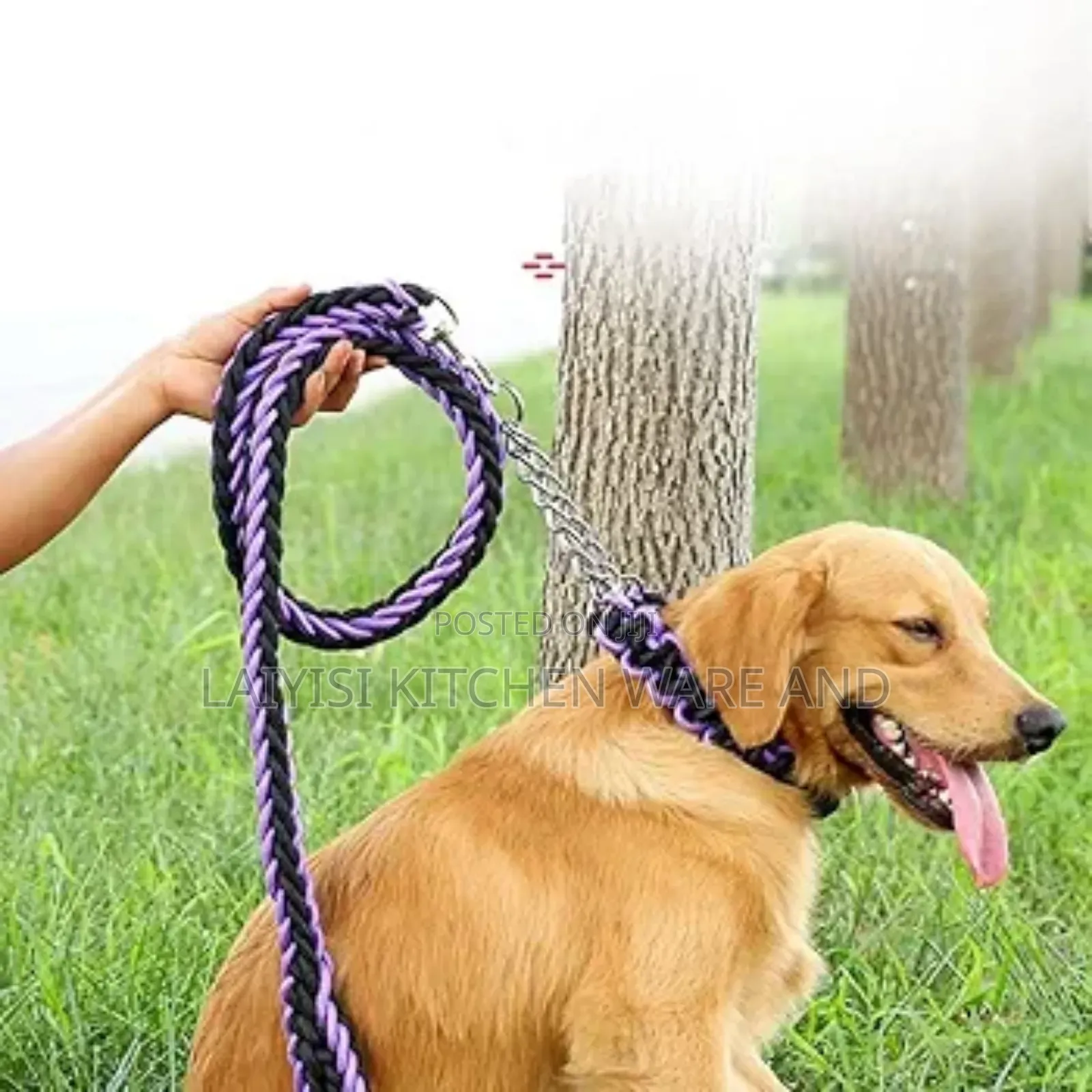 Dog Lead, Rope With Strain Relief, Collar, Training, Walking, Jogging,