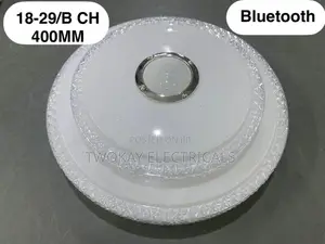 Ceiling Light With Bluetooth Speaker