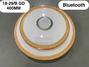Ceiling Light With Bluetooth Speaker