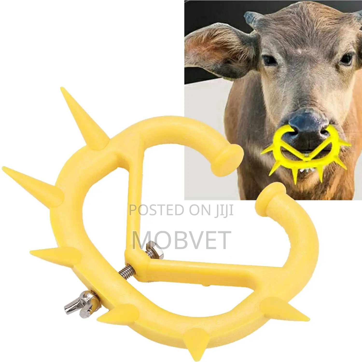 Anti-Suckling Device for Calves