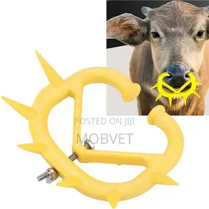 Anti-Suckling Device for Calves