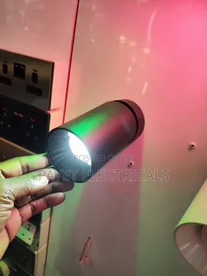 Wall Pointer Spot Light