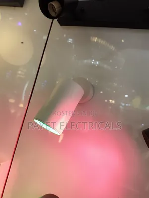 White Wall Spot Light/ Pointer