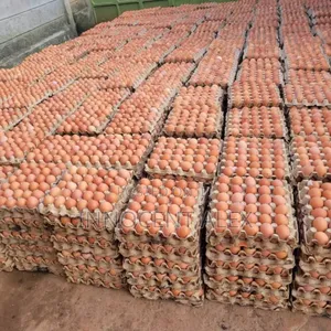 Fresh Yellow York Eggs
