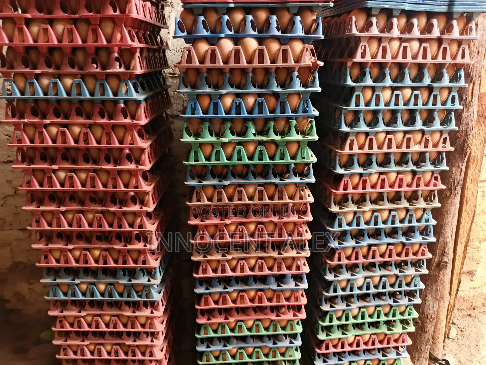 Fresh Yellow York Eggs