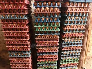 Fresh Yellow York Eggs