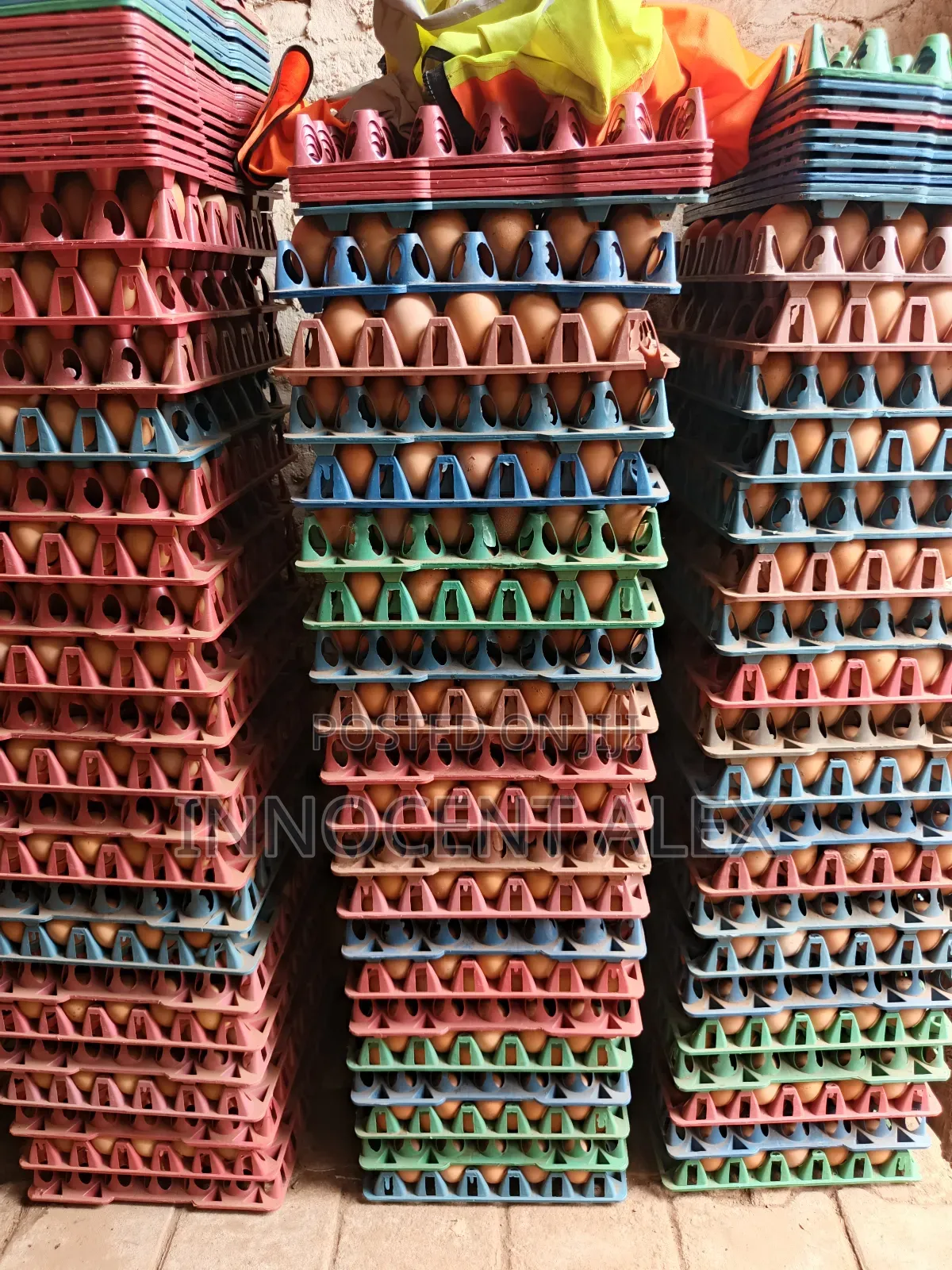 Fresh Yellow York Eggs