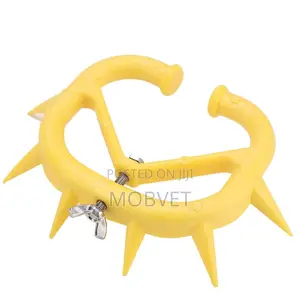 Dairy Calf Weaning Device