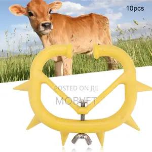 Dairy Calf Weaning Device
