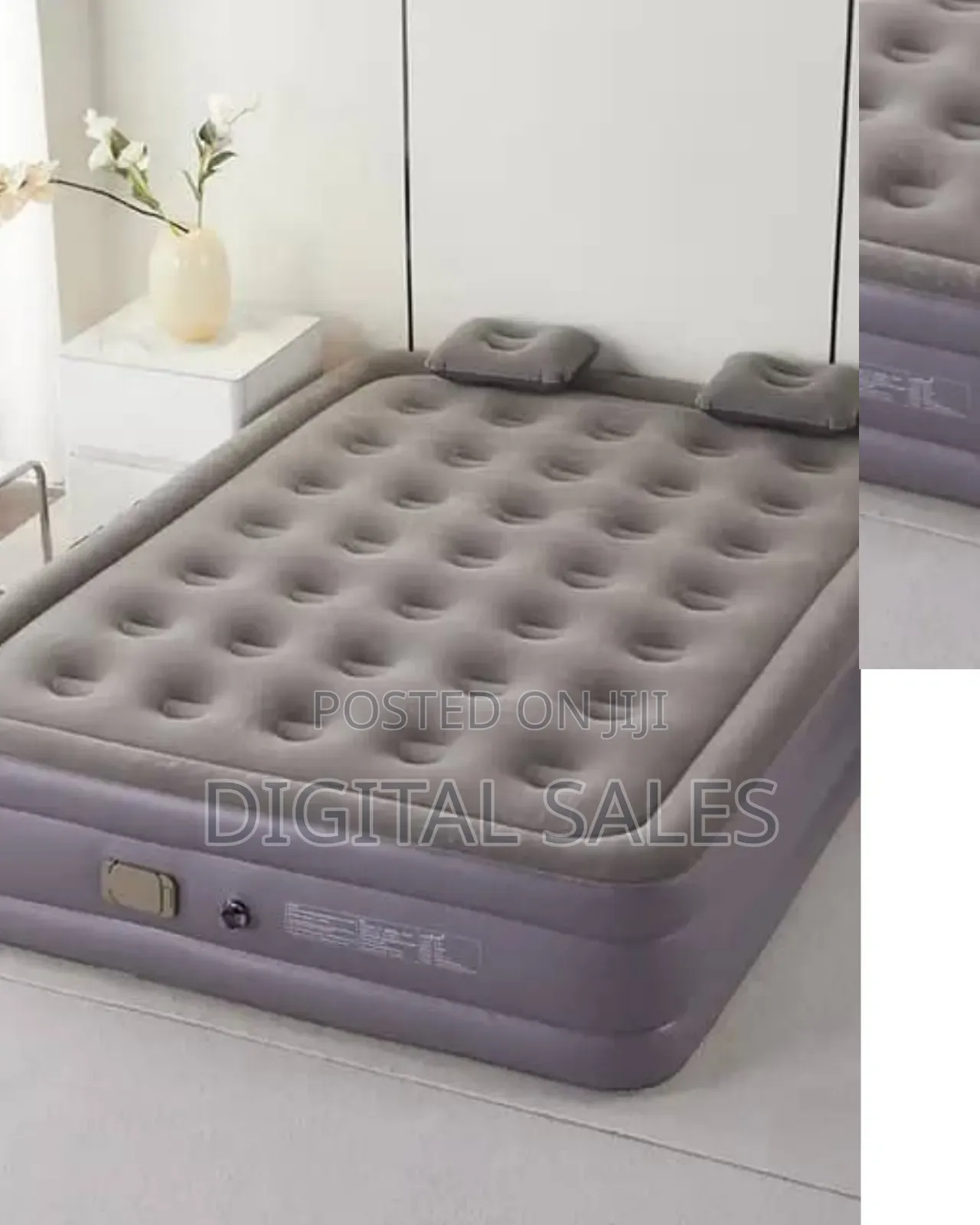 Double Air Mattress With Pillows