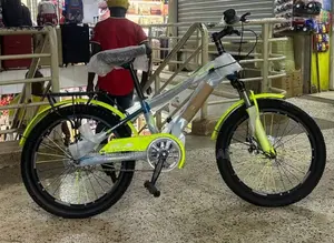 Triangle Frame Bicycle Size 20 10 Years And Above