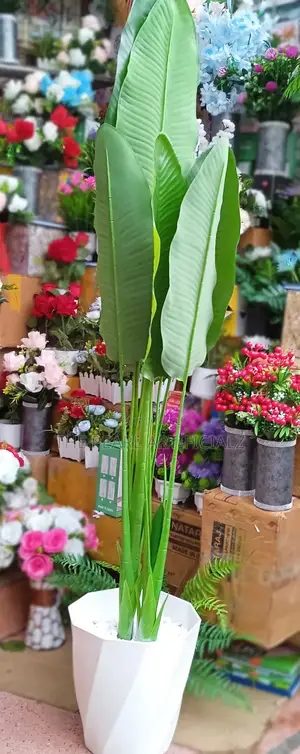 Artificial Plants