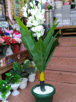 Artificial Plants