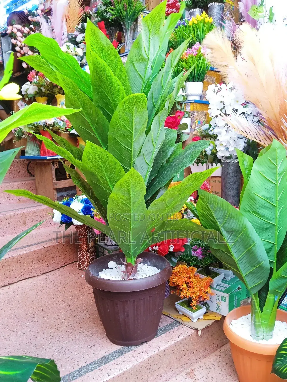 Artificial Plants