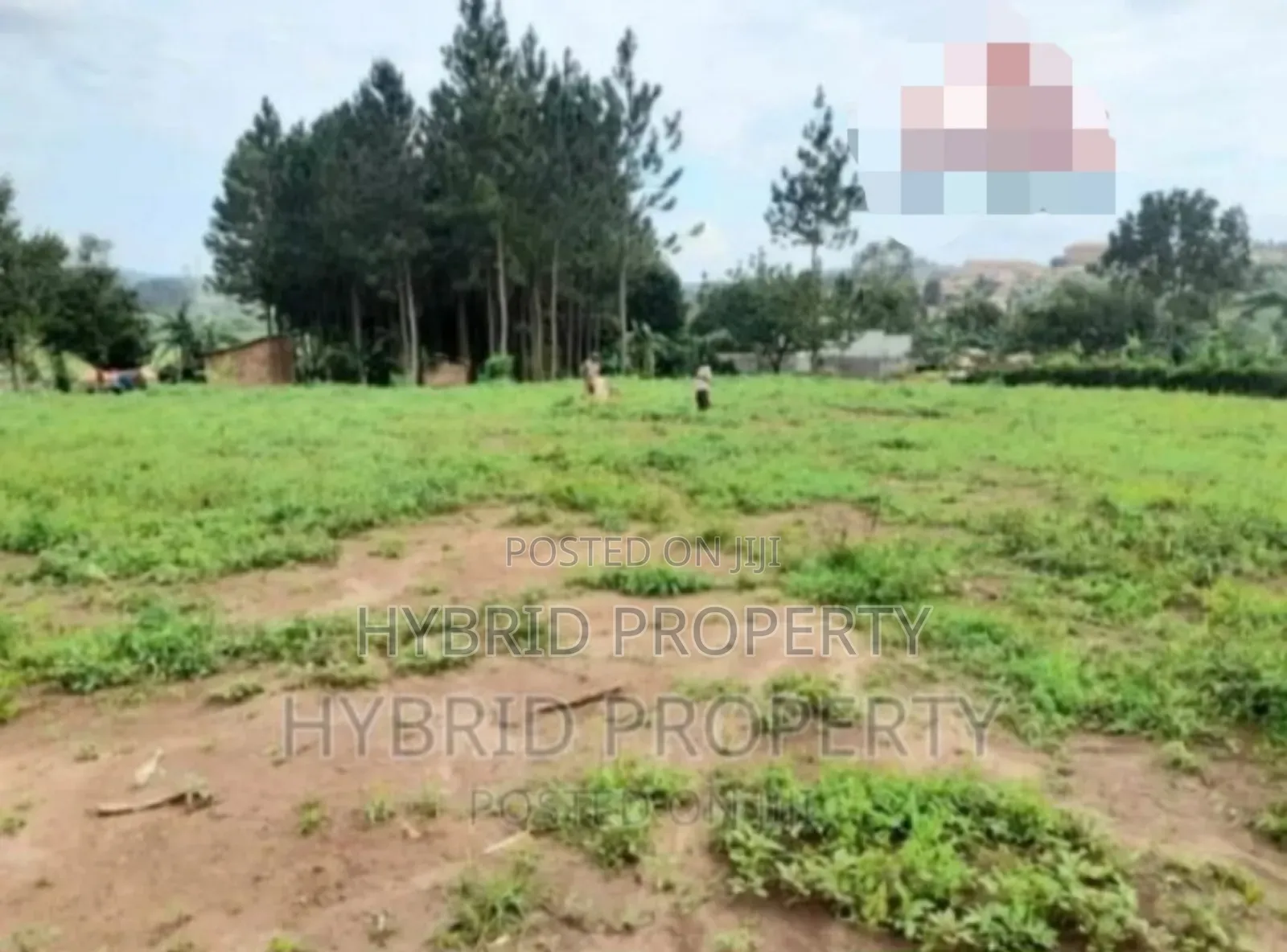 Plots For Sale At Our Kalambi~Kiwumu Land Estate~Mityana Rd.