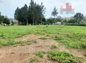 Plots For Sale At Our Kalambi~Kiwumu Land Estate~Mityana Rd.