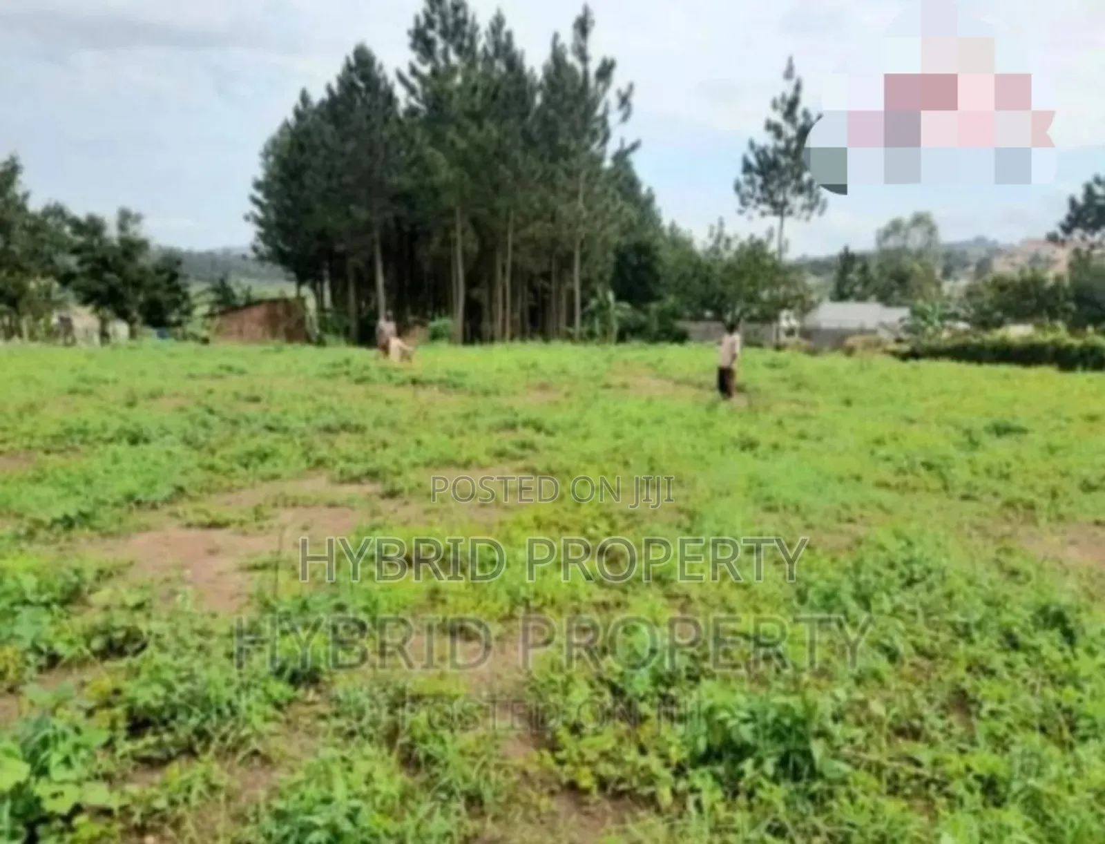 Plots For Sale At Our Kalambi~Kiwumu Land Estate~Mityana Rd.