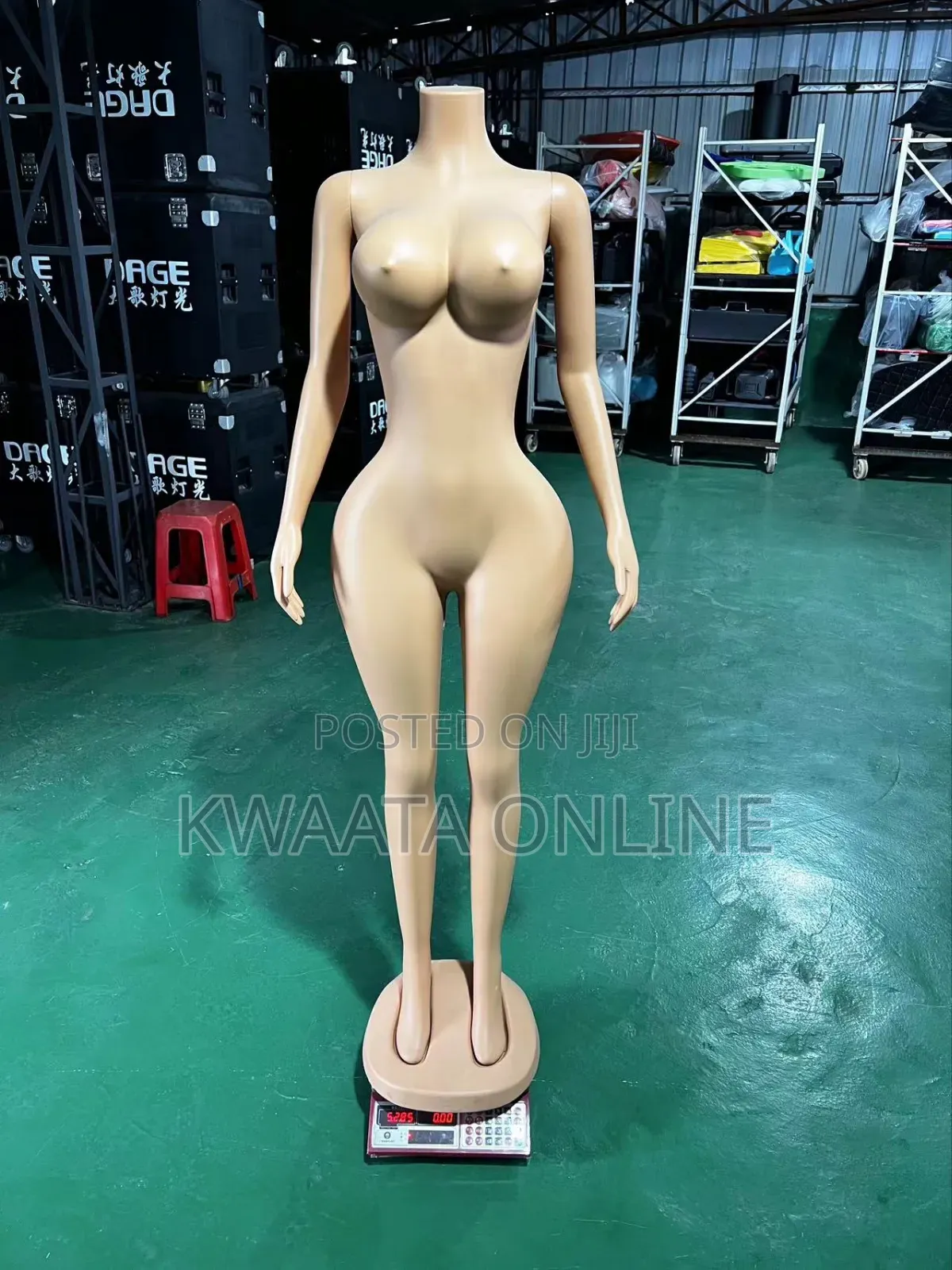 Plastic Mannequins Big Breasts Big Butt Manikin With Arms Dummy