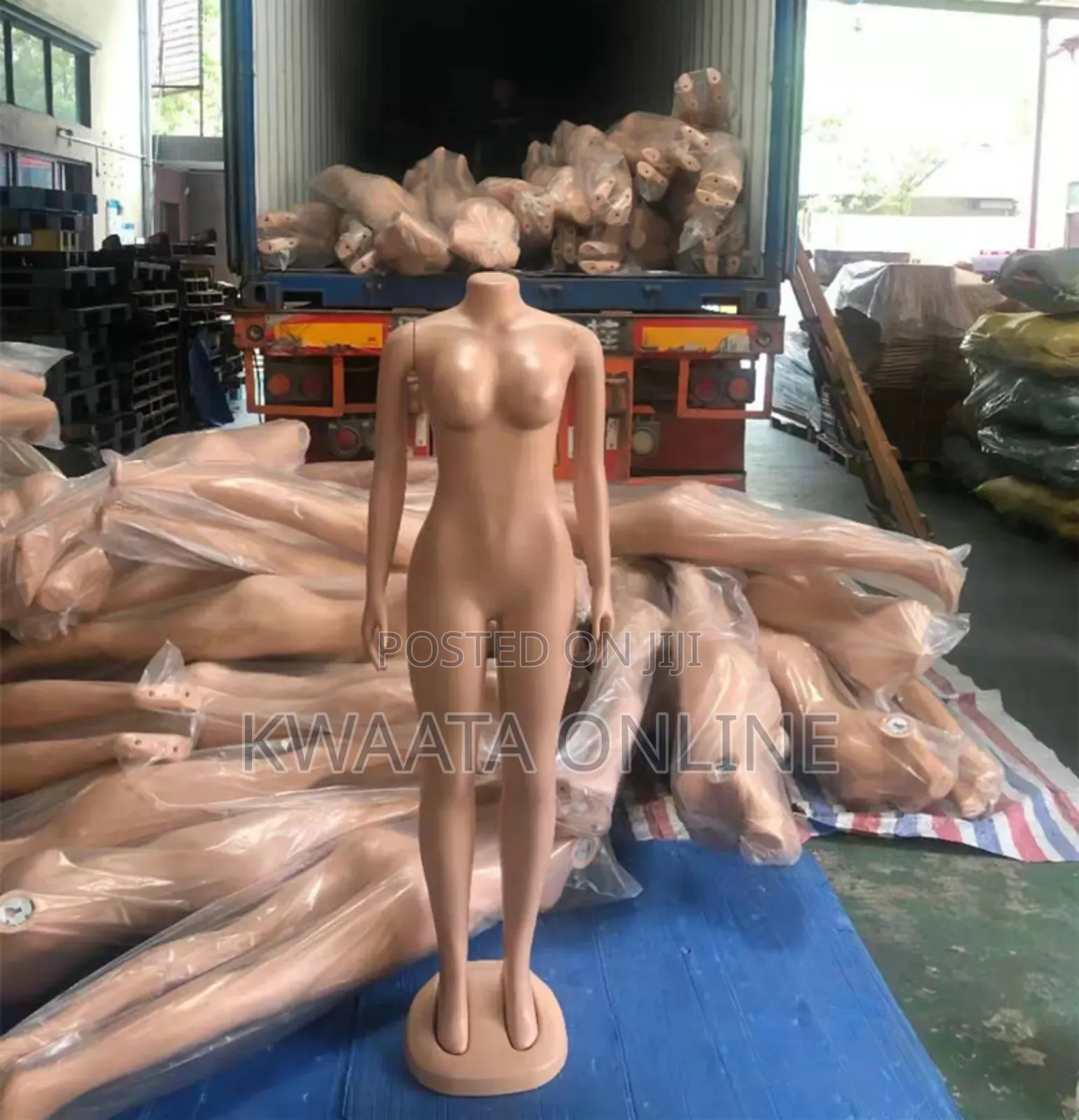 Plastic Mannequins Big Breasts Big Butt Manikin With Arms Dummy