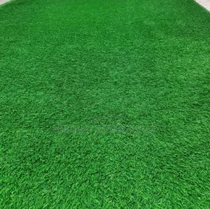 Fancy Artificial Grass Carpets Per Square Meter Available and Cheap